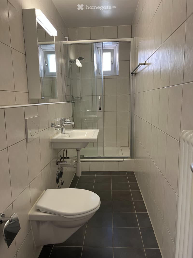Appartement ensoleillé rénové 3 pièces (3)