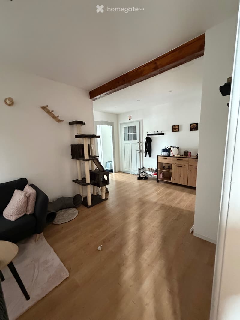 Appartement à louer - reprise de bail (3)