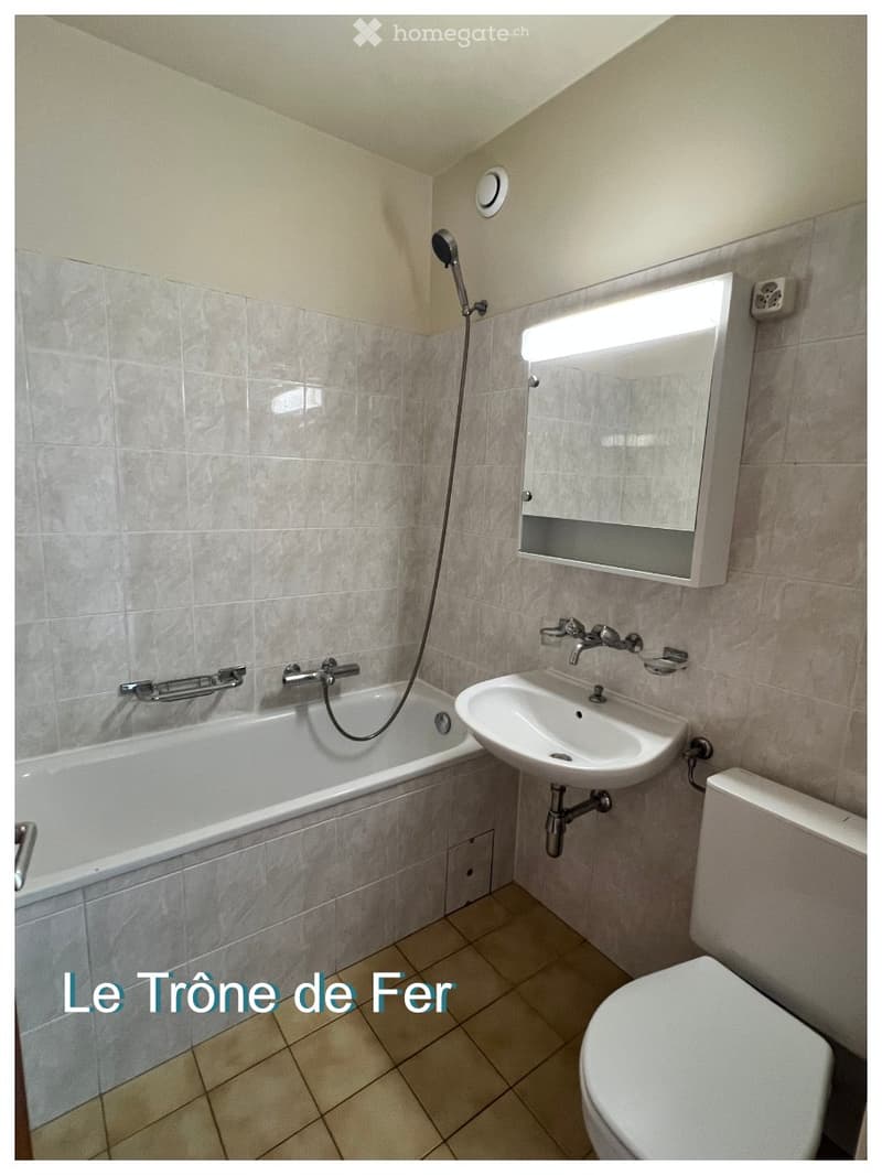 Studio meublé à Onex (3)