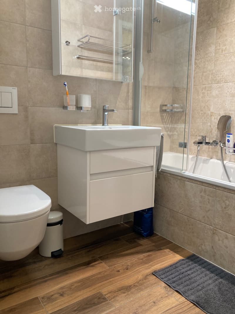 Appartement 4.5 pièces moderne et haut de gamme (9)