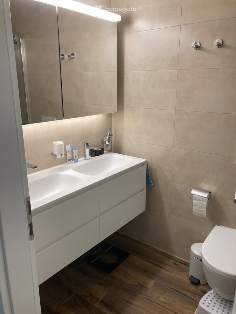 Appartement 4.5 pièces moderne et haut de gamme (11)