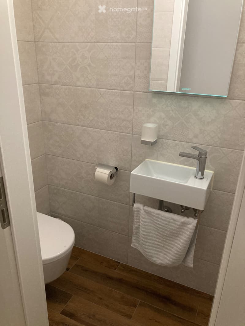 Appartement 4.5 pièces moderne et haut de gamme (6)