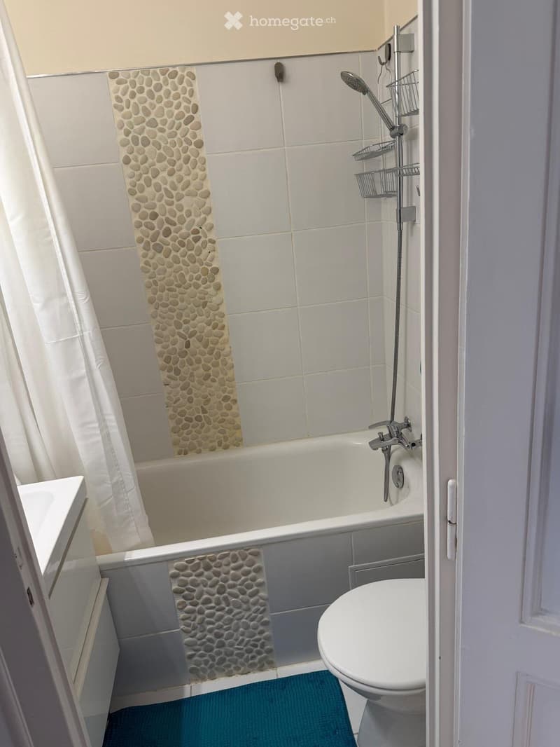 Reprise de bail -Appartement meublé 2 pièces - Genève Pâquis (3)