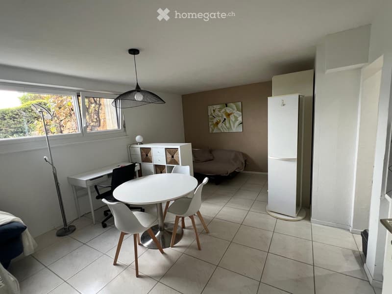 Lumineux studio meublé (4)
