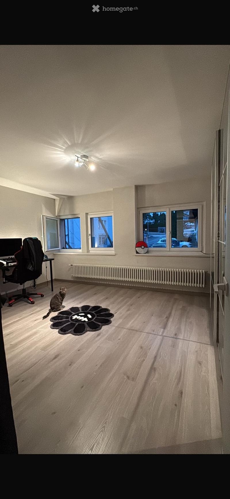 À louer Appartement 3,5 pièces (5)