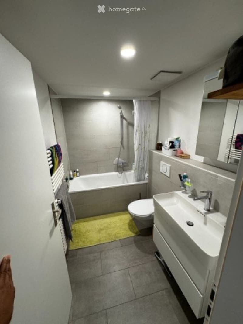 Duplex Eigerplatz Bern (5)