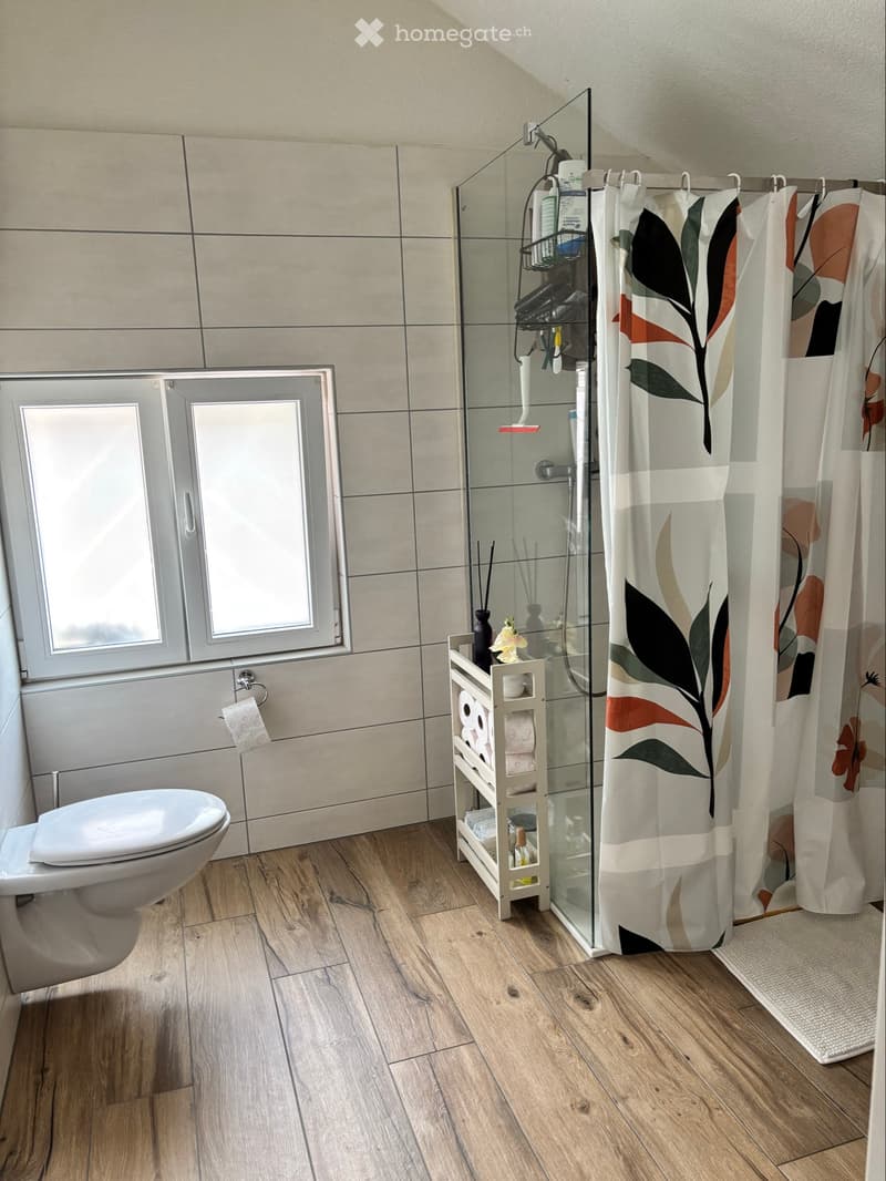 Appartement 4.5 pièces sur demi-niveau (5)