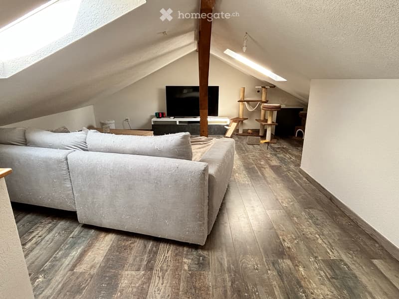 Appartement 4.5 pièces sur demi-niveau (3)
