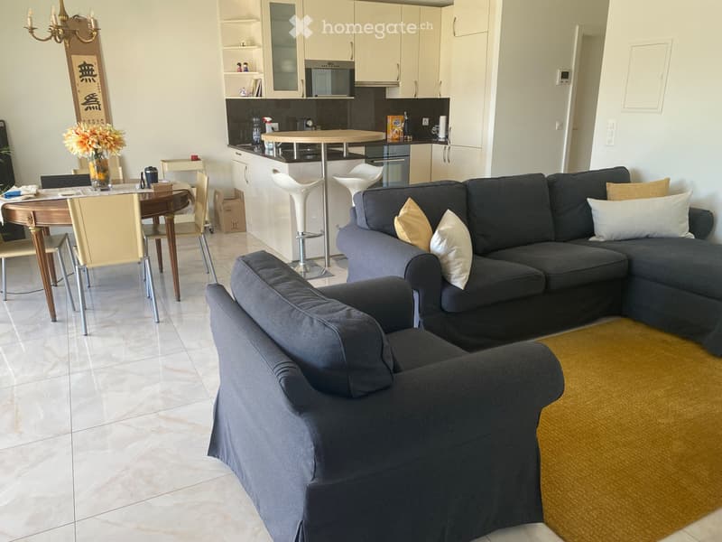 Magnifique appartement (2)