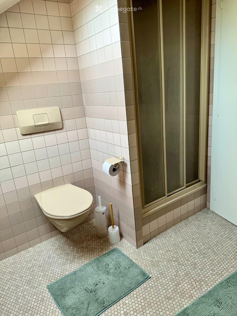 Meublé dans maison de Maître - durée déterminée (2)