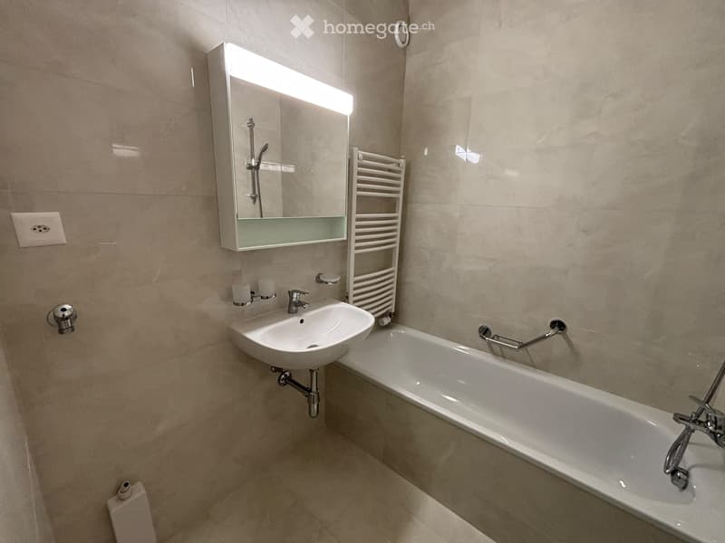 Appartement de 4 pièces à Genève - Quartier Montchoisy (3)