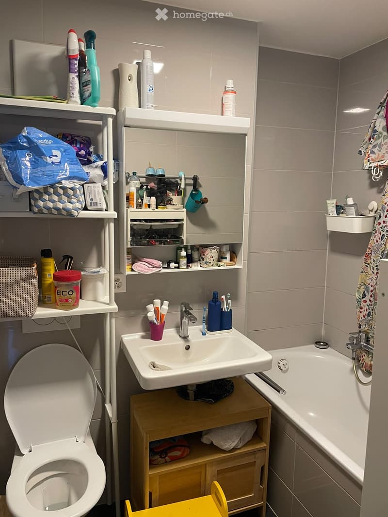 Très bel appartement, récent et ouvert, pour le 1er Octobre! (5)