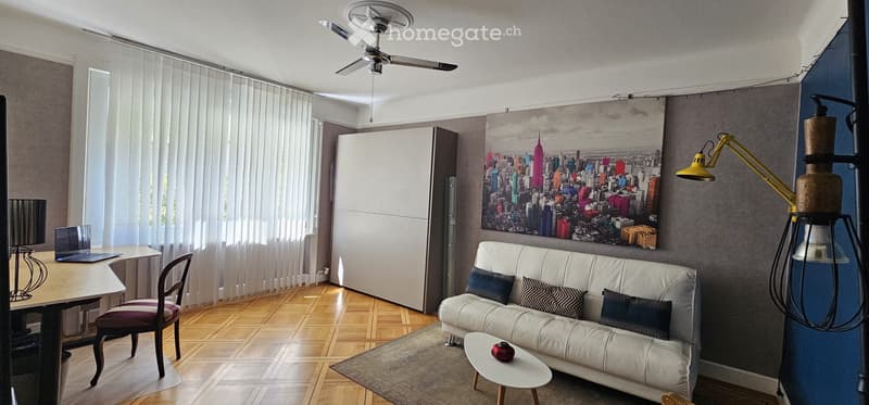 1,5 pièce meublé 45 m²  Montchoisi 1006 Lausanne (2)