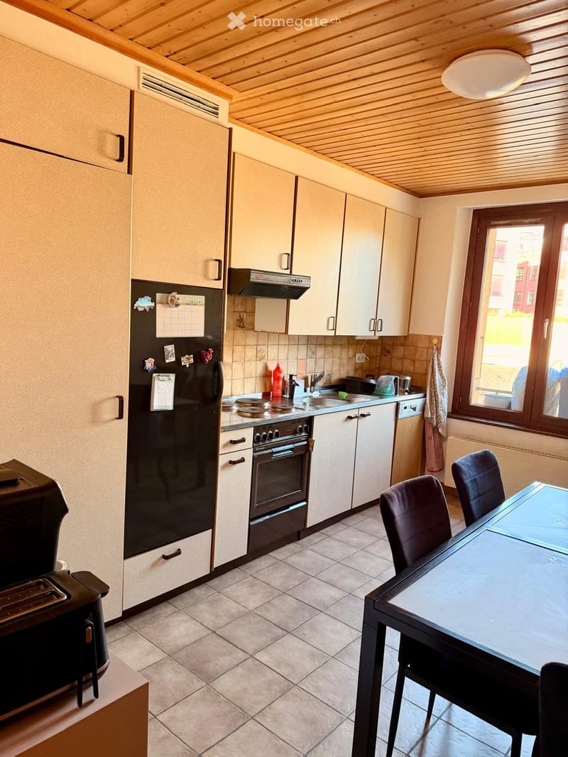 Appartment 3,5 p à louer (5)