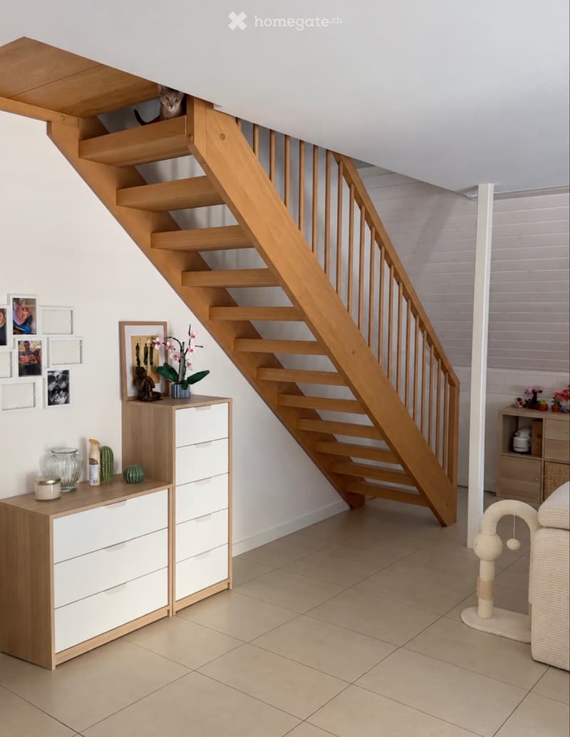 Charmant appartement de 2.5 en duplex (3)