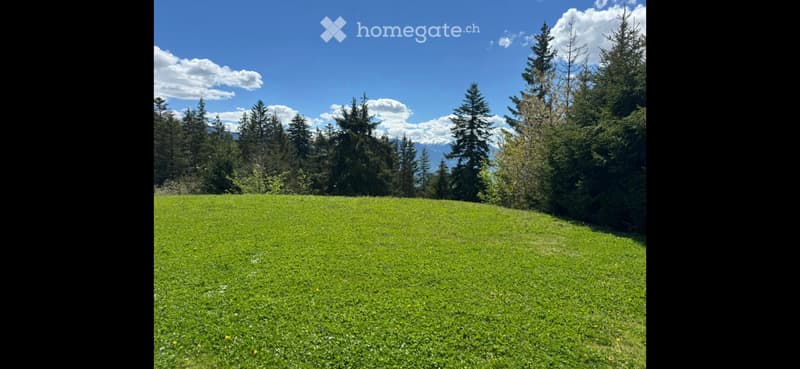 Studio à louer à l'année à Crans-Montana ; centre (2)