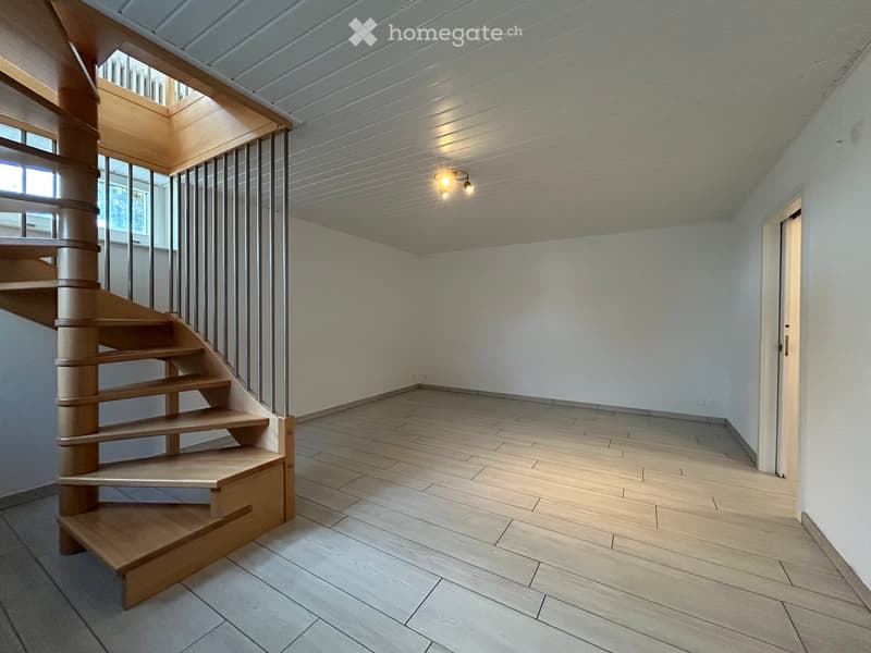Appartement de 2 pièces sur deux niveaux (3)