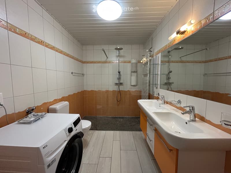 Appartement de 2 pièces sur deux niveaux (4)