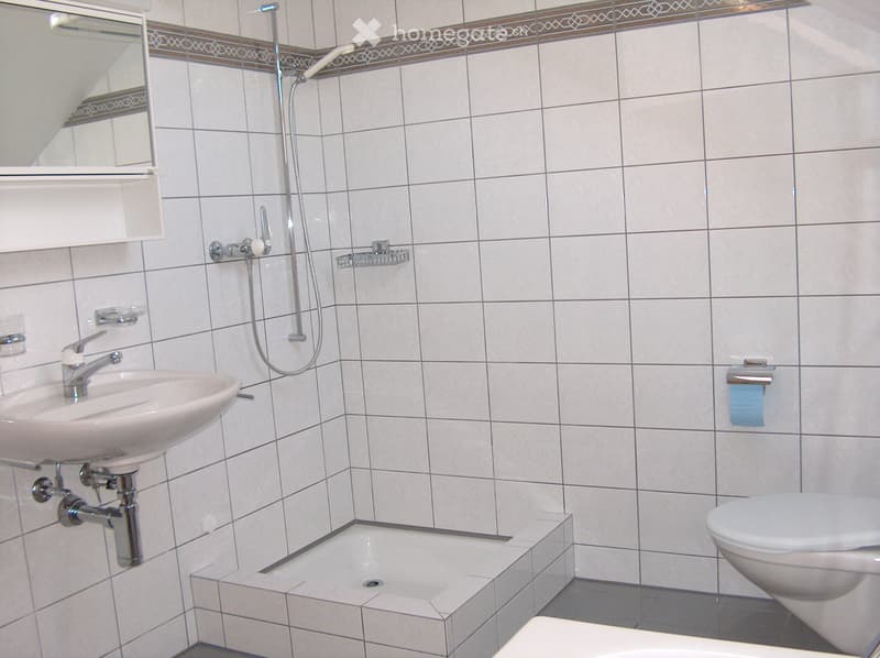 Nachmieter gesucht für eine 3.5 Zi.-Wohnung an Toplage (2)
