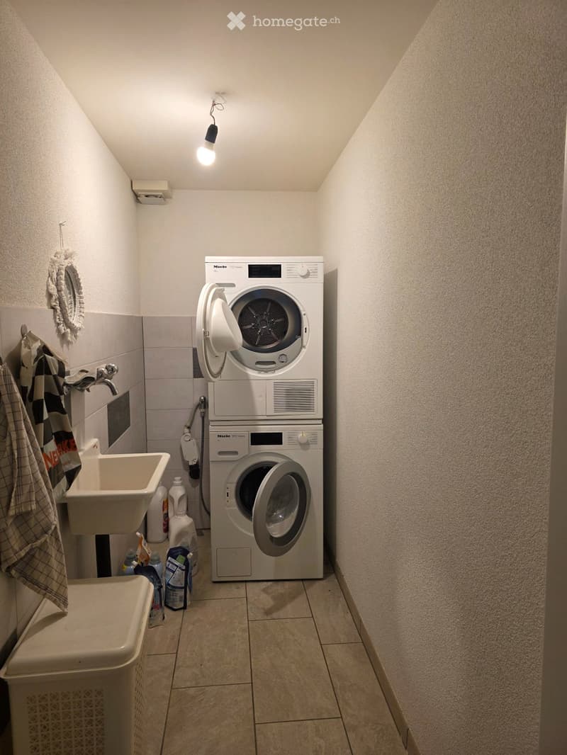 Bel appartement duplex (5)