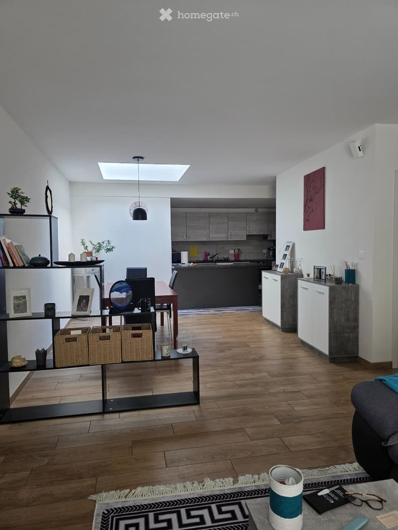 Bel appartement duplex (3)