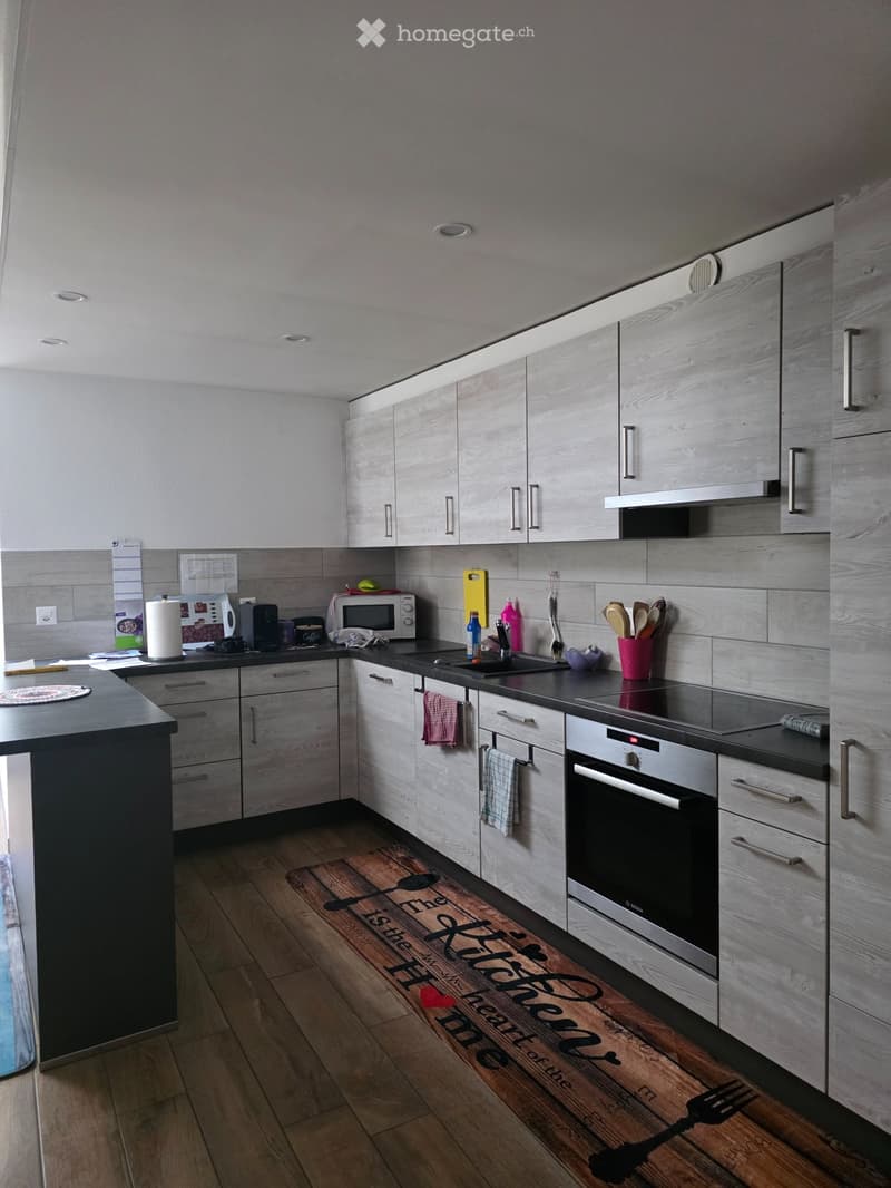 Bel appartement duplex (1)