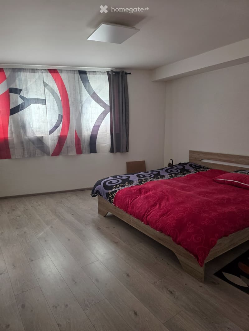 Bel appartement duplex (4)