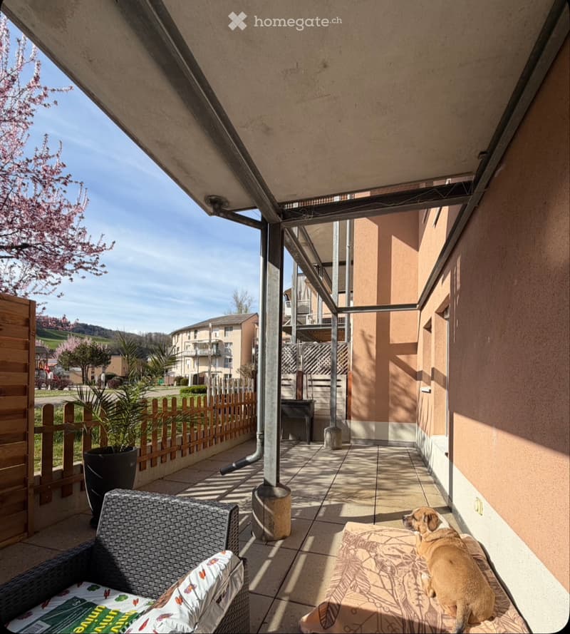 Reprise de bail 2,5 pièces avec grande terrasse + parking (2)