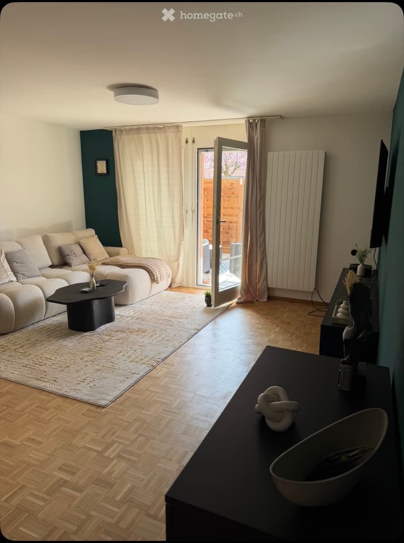Reprise de bail 2,5 pièces avec grande terrasse + parking (4)