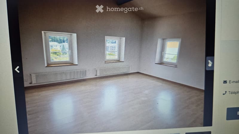 Appartement 5.5 pièces Champlan, jardin, calme (3)