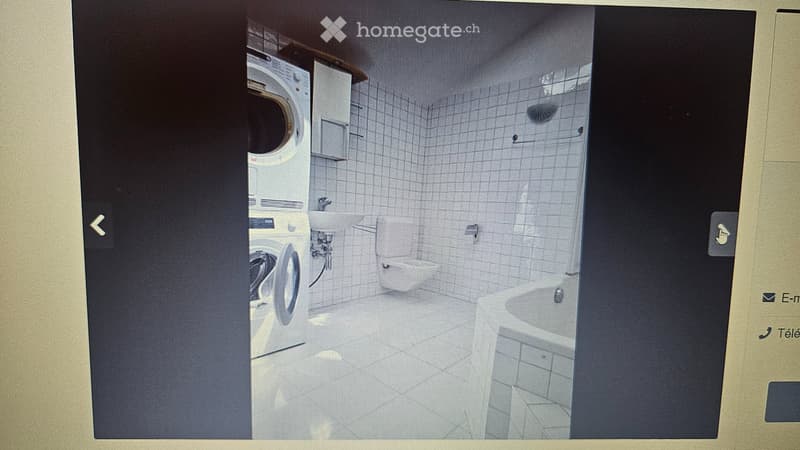 Appartement 5.5 pièces Champlan, jardin, calme (5)