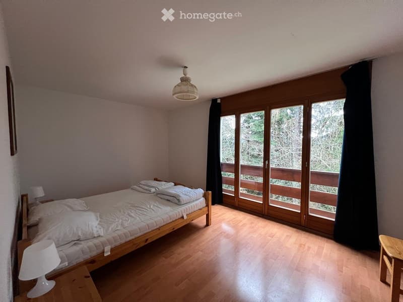 4.5 pièces meublé  CHF 1'620. CC, parking intérieur inclus (3)