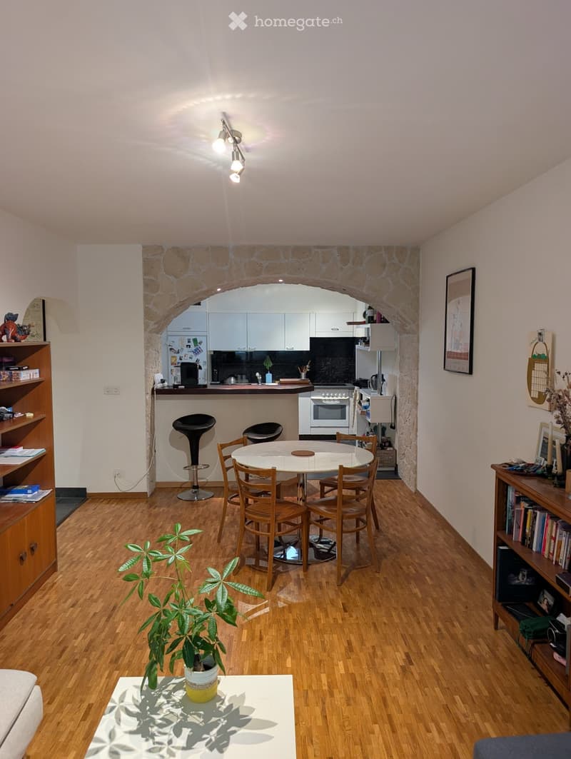 Location appartement Lausanne (2)