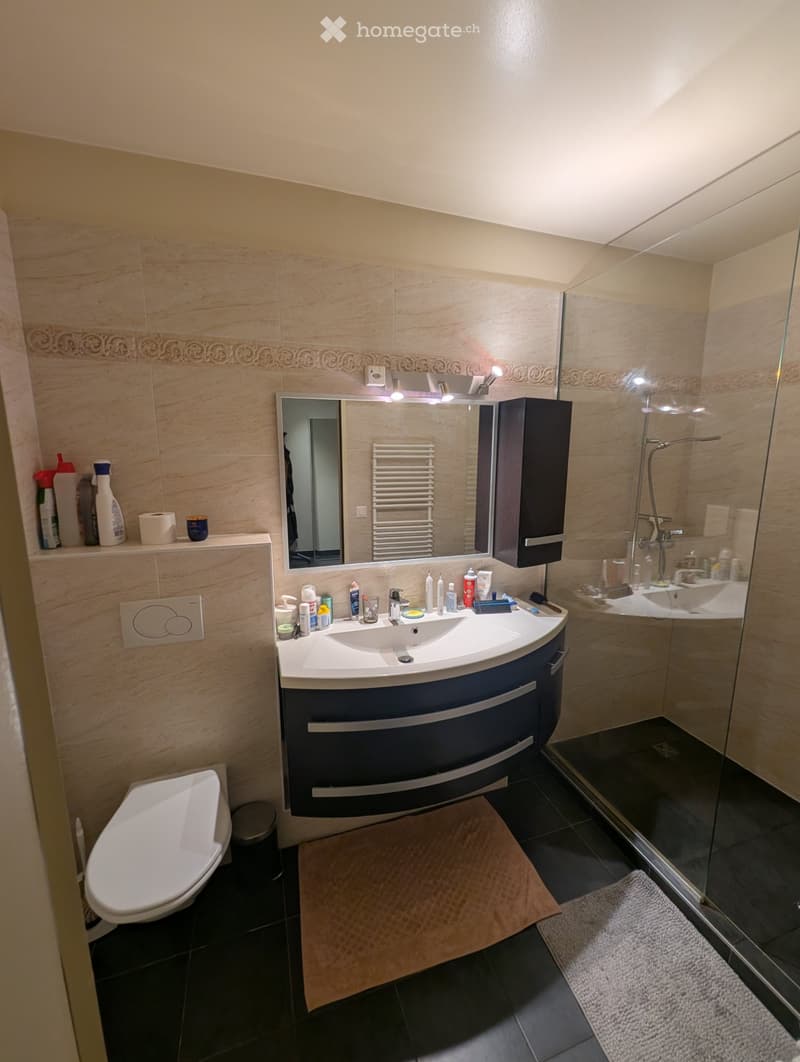 Location appartement Lausanne (4)