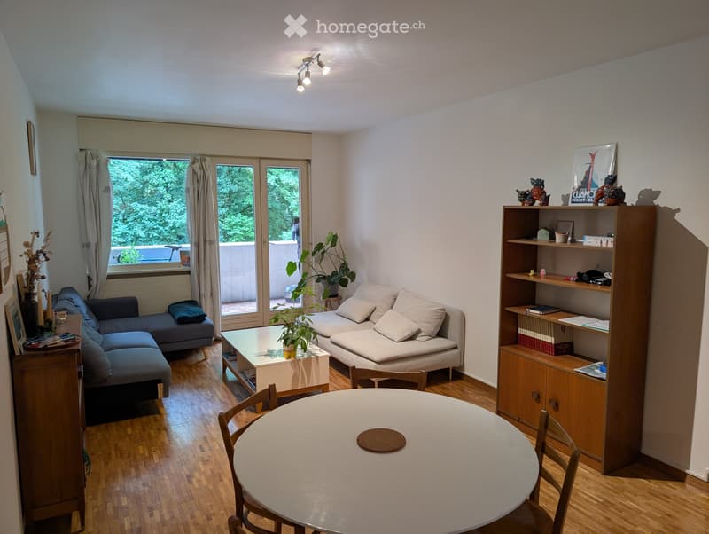 Location appartement Lausanne (1)