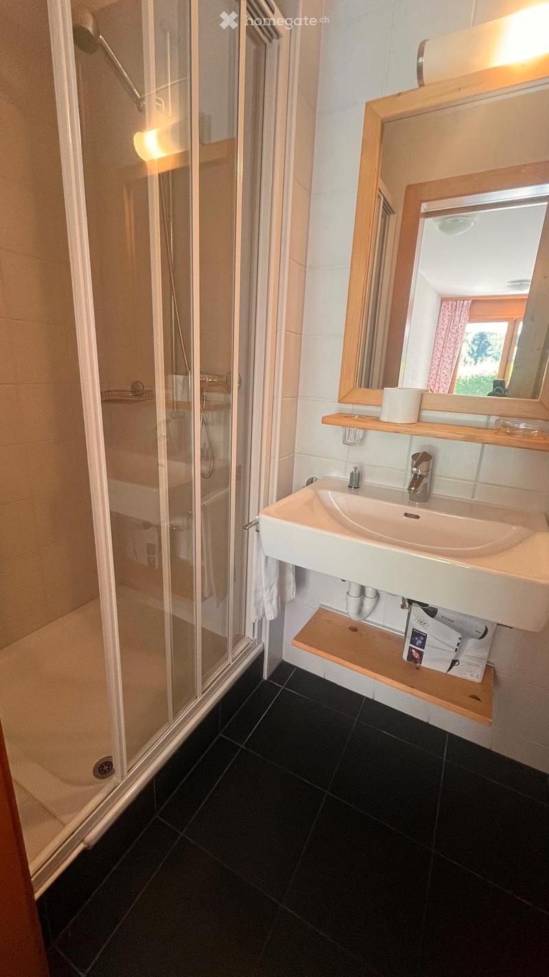 Val-dIlliez 2.5p + studio attenant -2 logements ou ensemble (11)