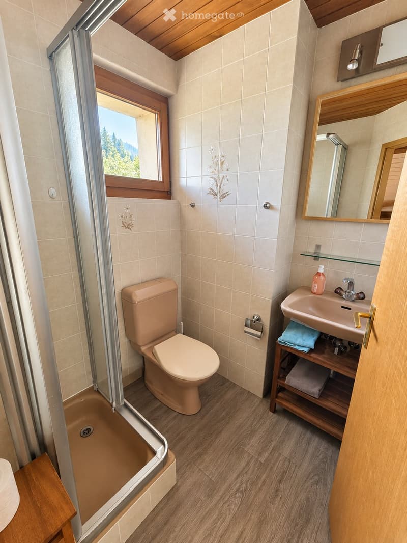 Studio en duplex - 40 m² à louer 1148 LIsle (3)