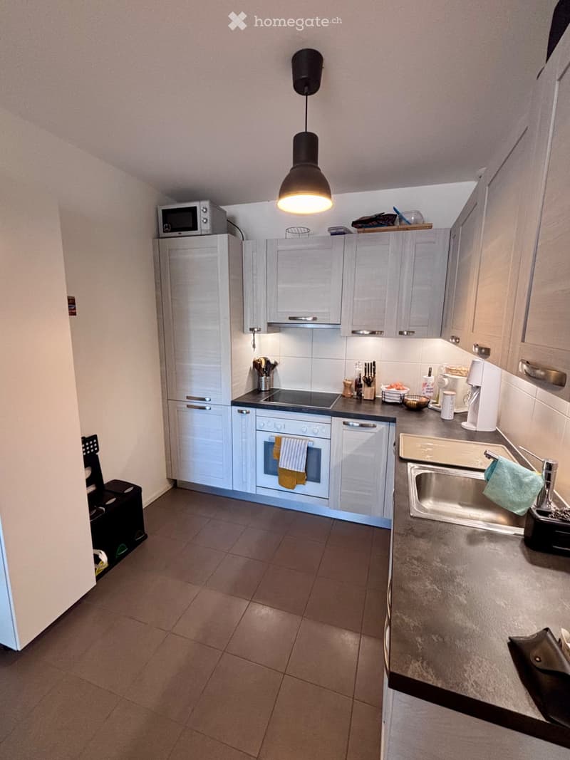 Bel appartement à Lausanne (3)