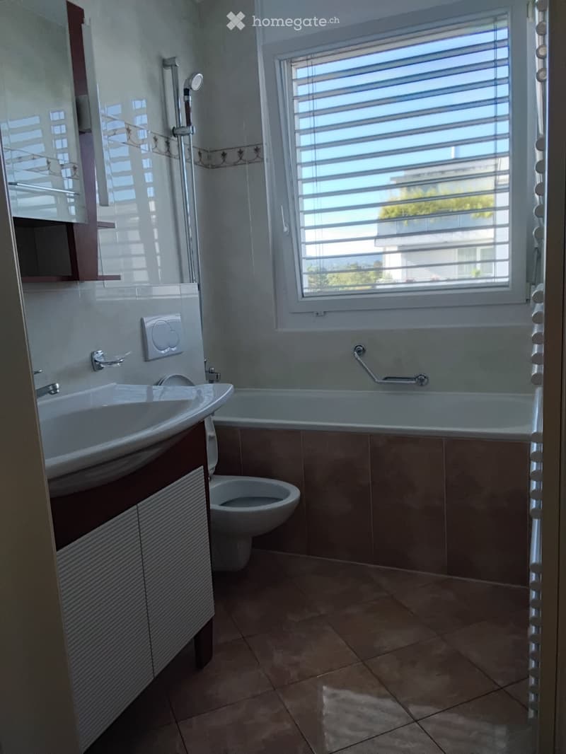 Appartement 4 pièces traversant avec balcons - Carouge (3)