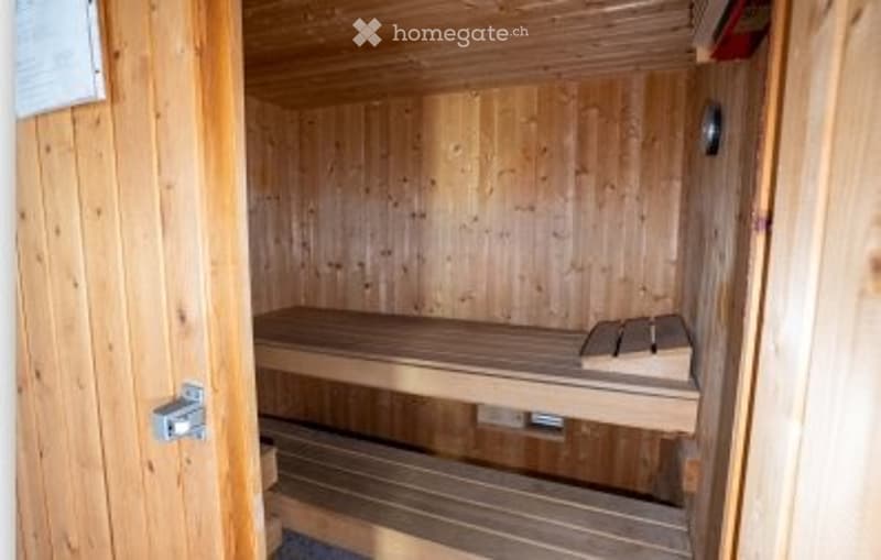 Sion Platta maison de 7.5 pces + box garage + jardin (10)