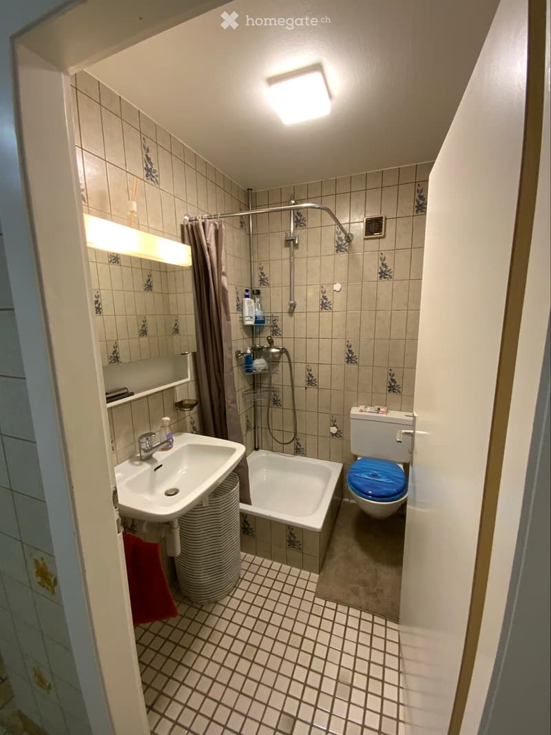 Appartement 2 pièce pour le 1 novembre (5)