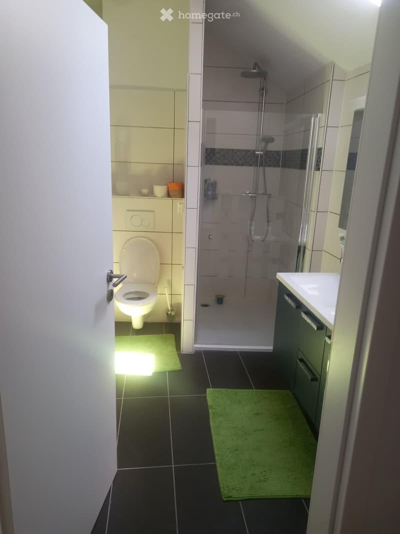 5.5 pièces dans les combles avec terrasse (centre d'Yverdon) (4)