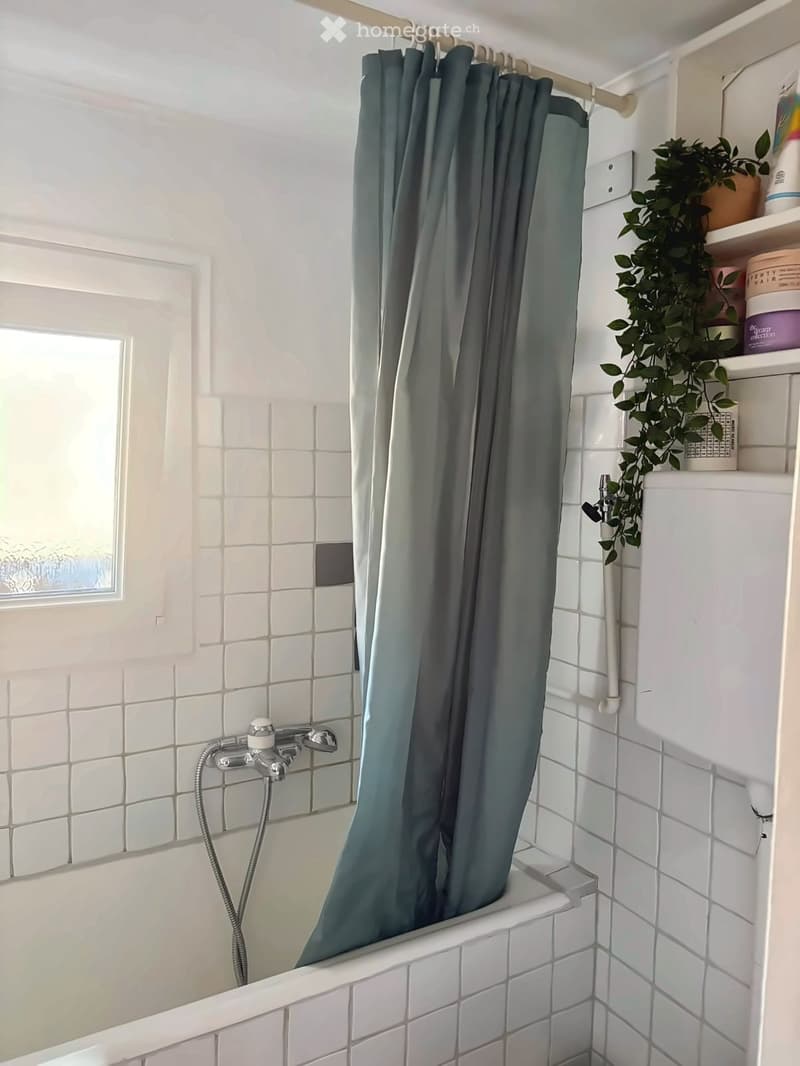 Charmant appartement duplex de 2,5 pièces/maison villageoise (6)