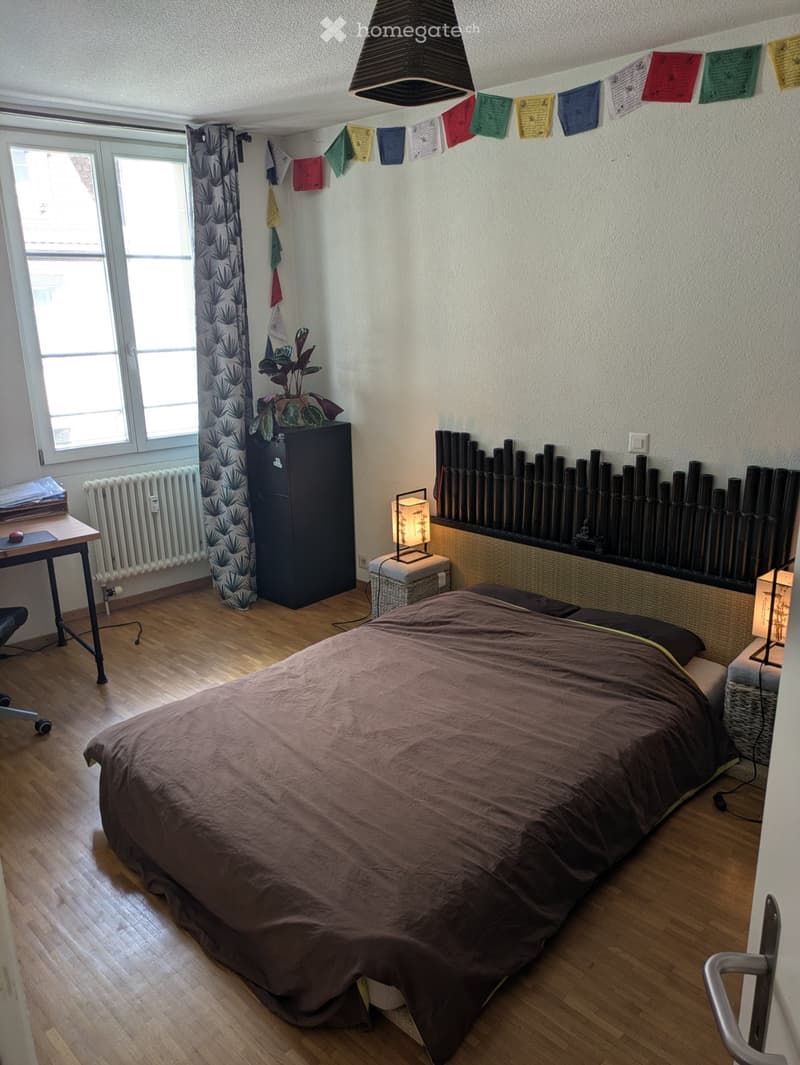 Sous-location / subletting court terme dès le 10 octobre (4)