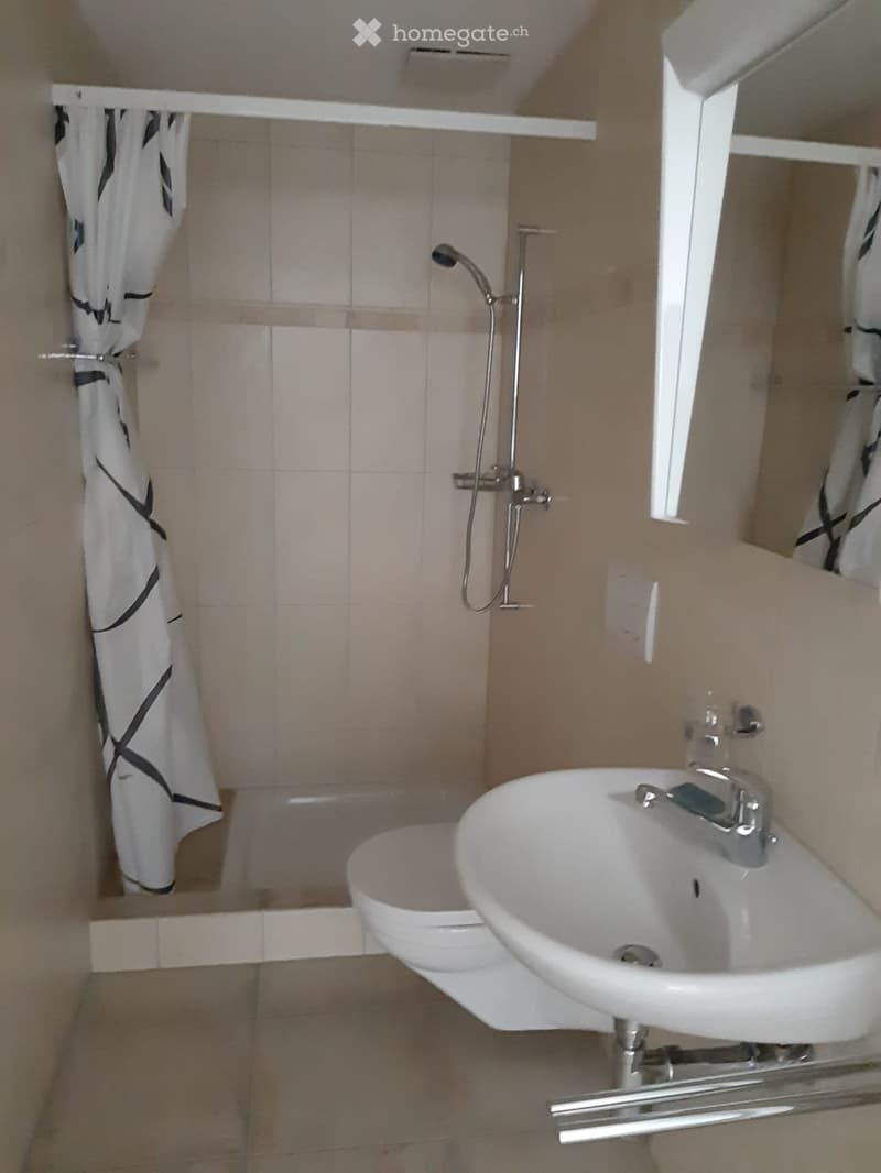 Schöne Einliegerwohnung in ruhigem Quartier (4)