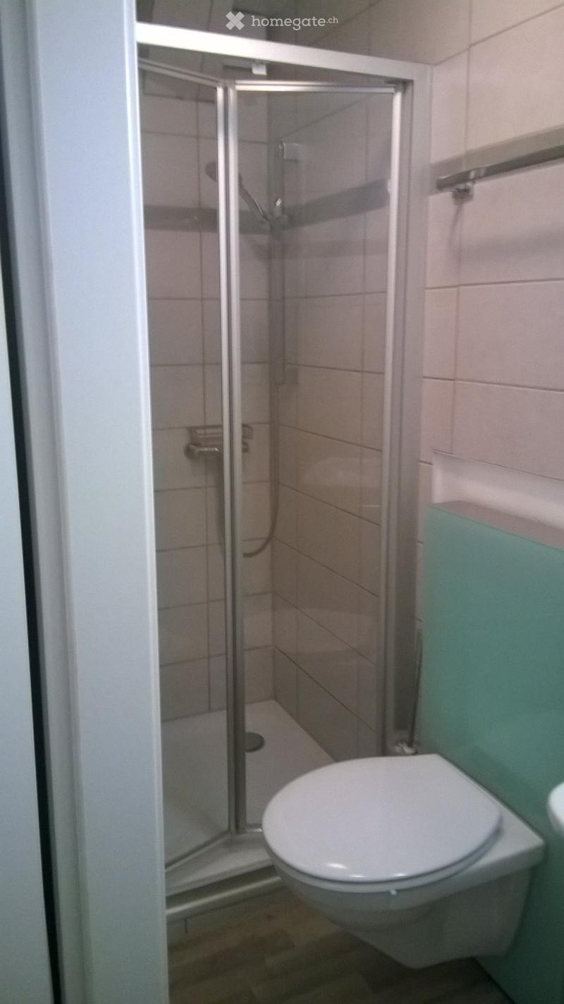 Studio meublé (4)
