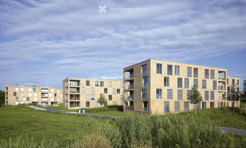 Sublet Housing Exchange EPFL/ETH: Lake view On-Campus Studio (1)