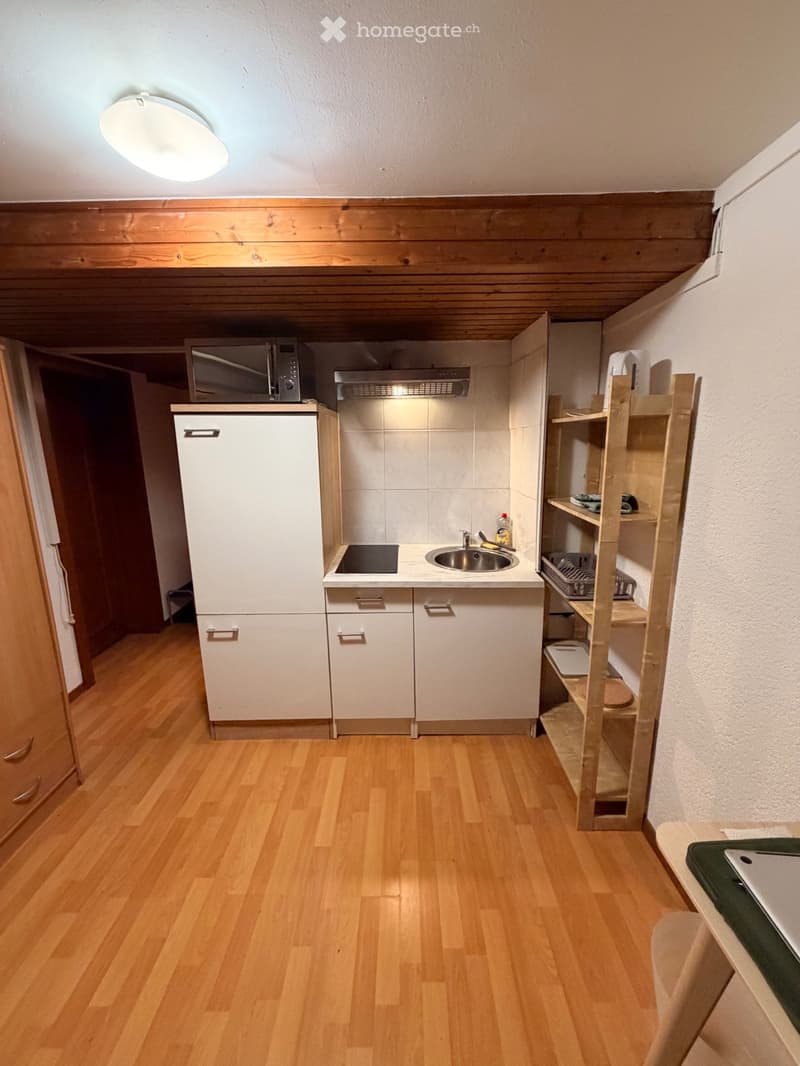 Joli studio meublé (5)
