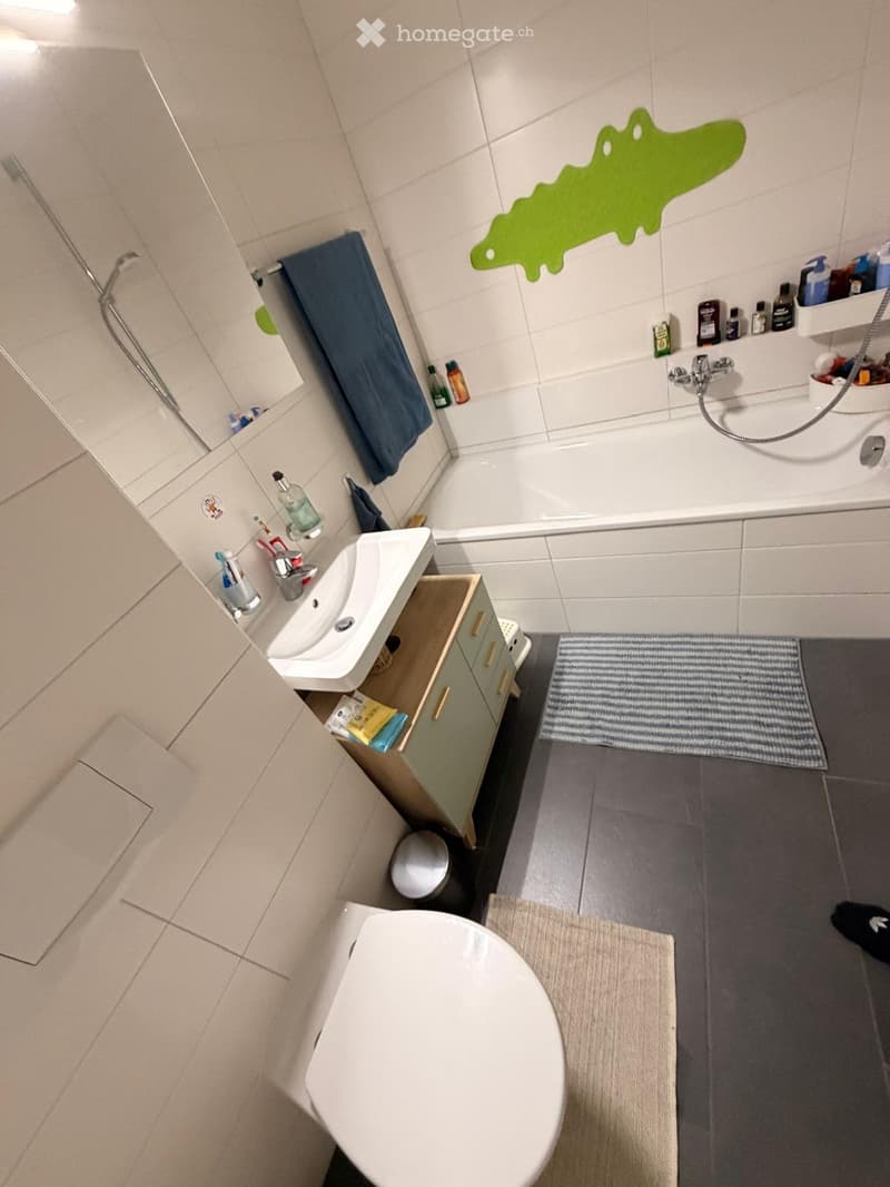 Bel et grand appartement de 3,5 pièces avec 2 salles de bain (4)