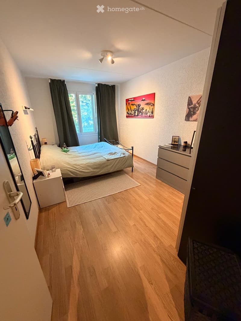Bel et grand appartement de 3,5 pièces avec 2 salles de bain (3)